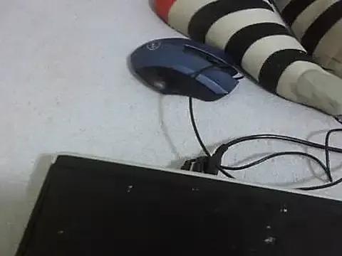 bellarincandy on StripChat 